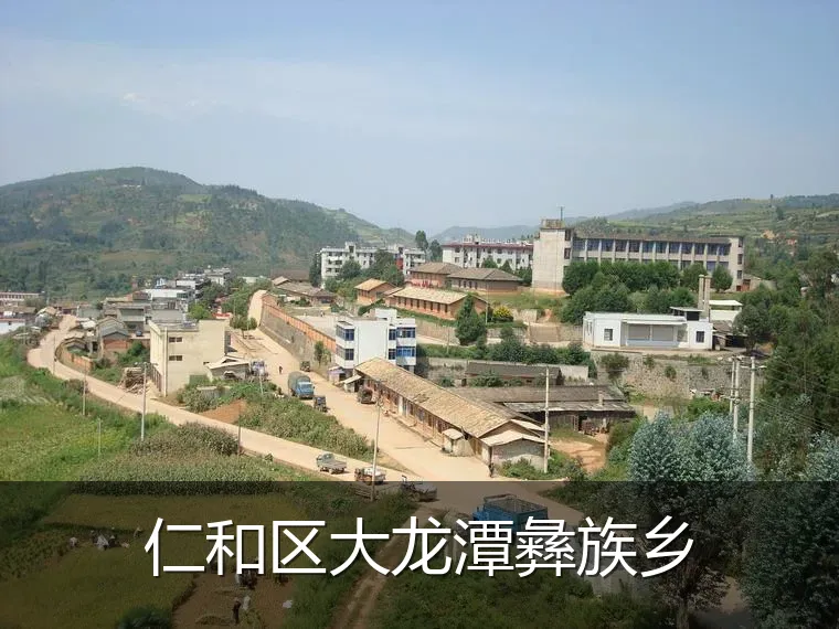 仁和区大龙潭彝族乡