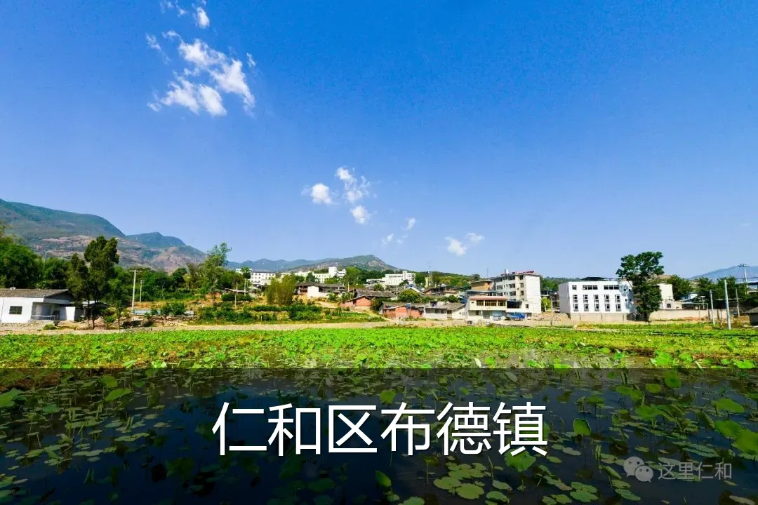仁和区布德镇