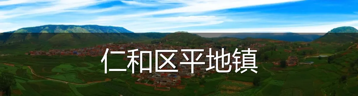 仁和区平地镇