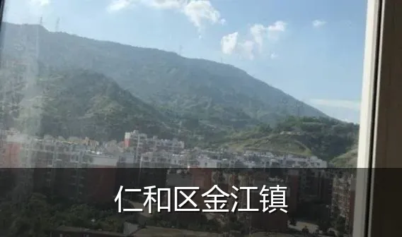 仁和区金江镇